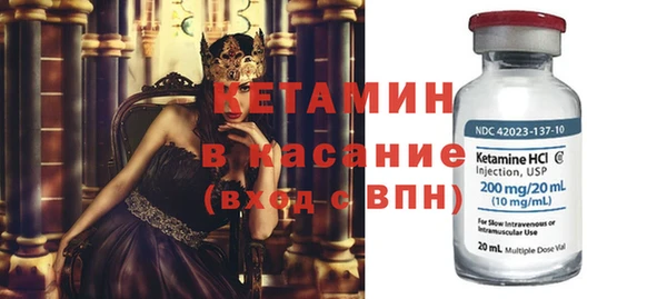 шишки Горно-Алтайск