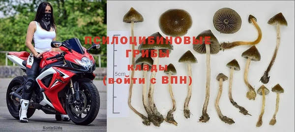 бошки Волоколамск