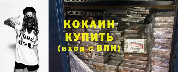 шишки Горно-Алтайск
