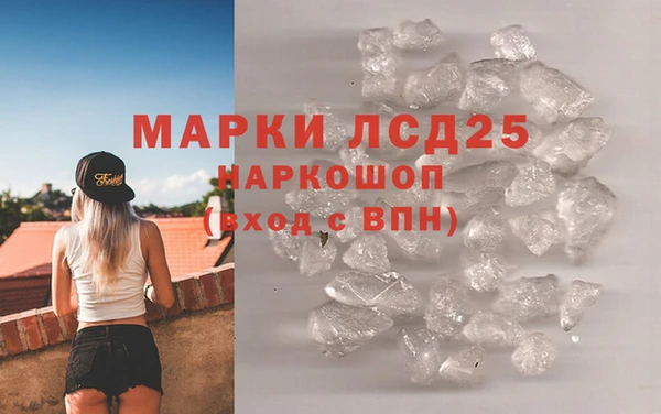 ГАЛЛЮЦИНОГЕННЫЕ ГРИБЫ Волосово