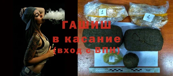 шишки Горно-Алтайск