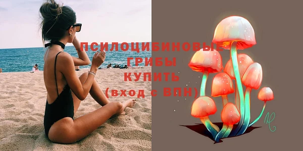 бошки Волоколамск